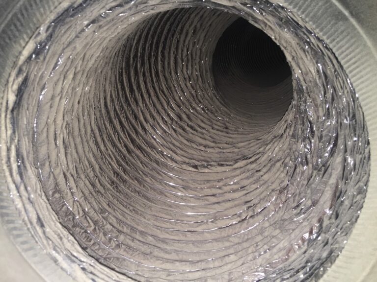 Mold Issues in Your HVAC System / Air Ducts